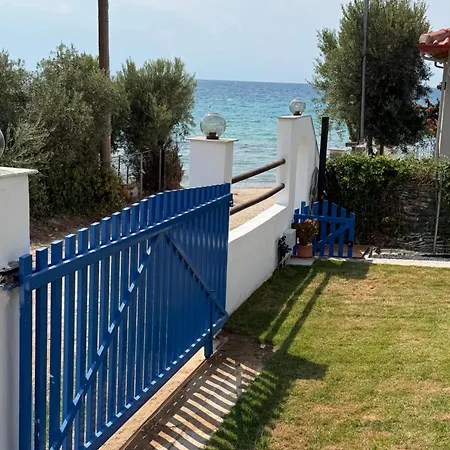 Blue Canvas Vergia